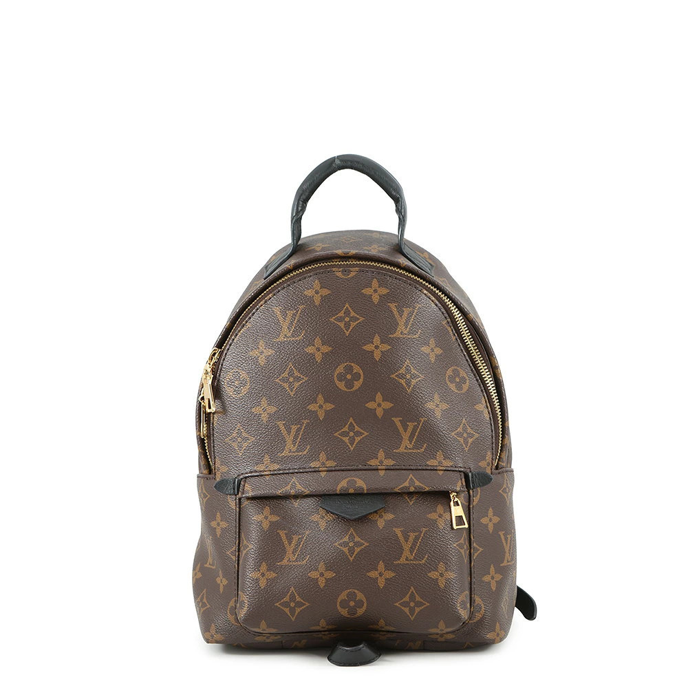 Louis Vuitton Monogram Palm Springs Backpack Black Bag